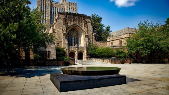 What SAT Score Do You Need for Yale University? (2023)